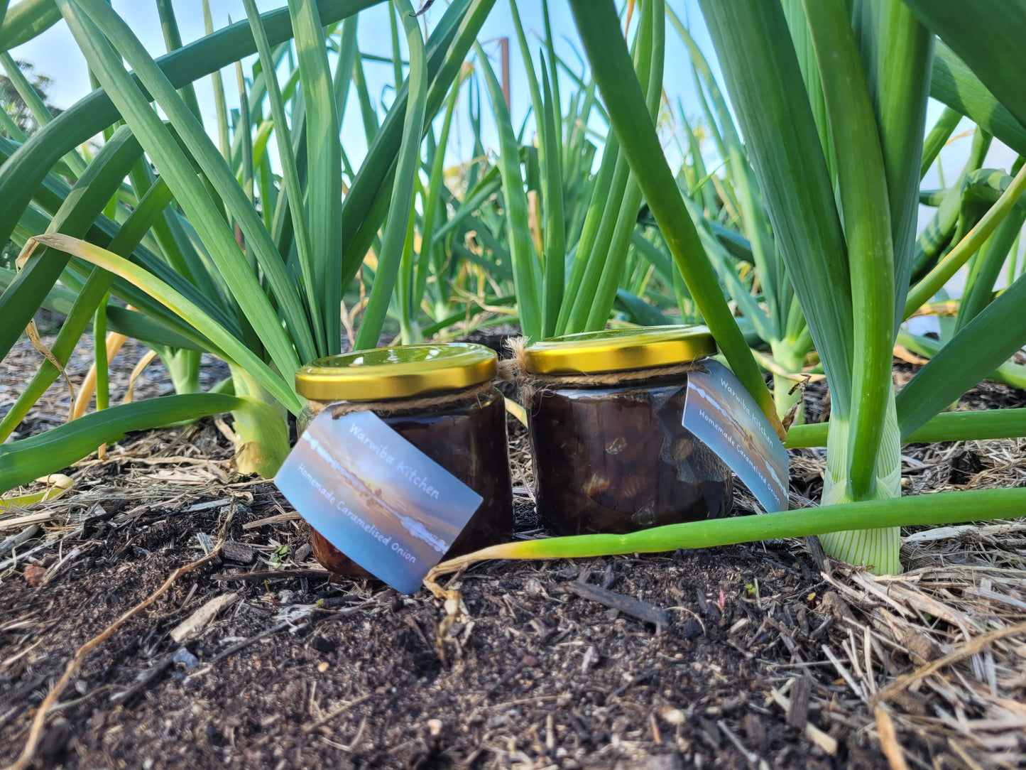 Sticky Caramelised Onions (150ml)